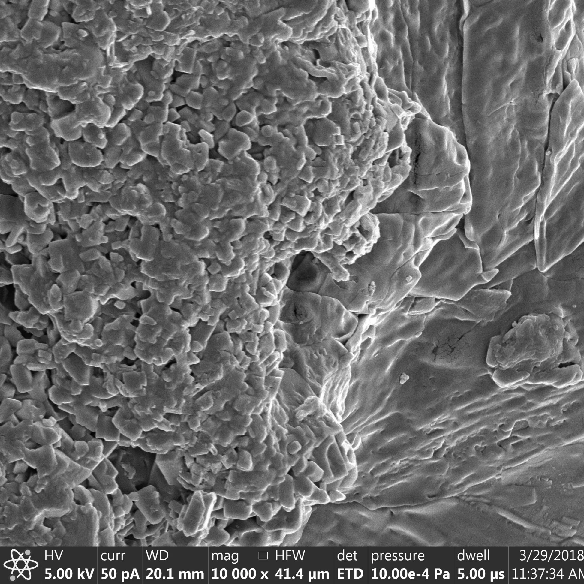 One of several images captured under the ESM at Brown University