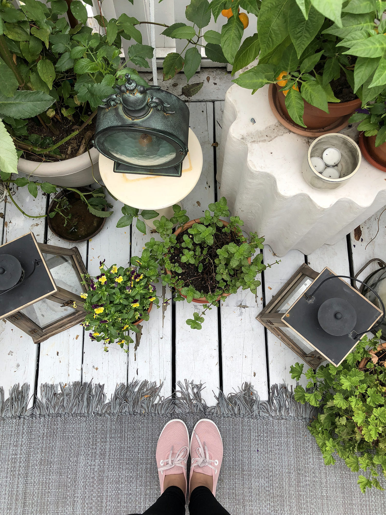 Katie’s studio garden is a magical urban oasis