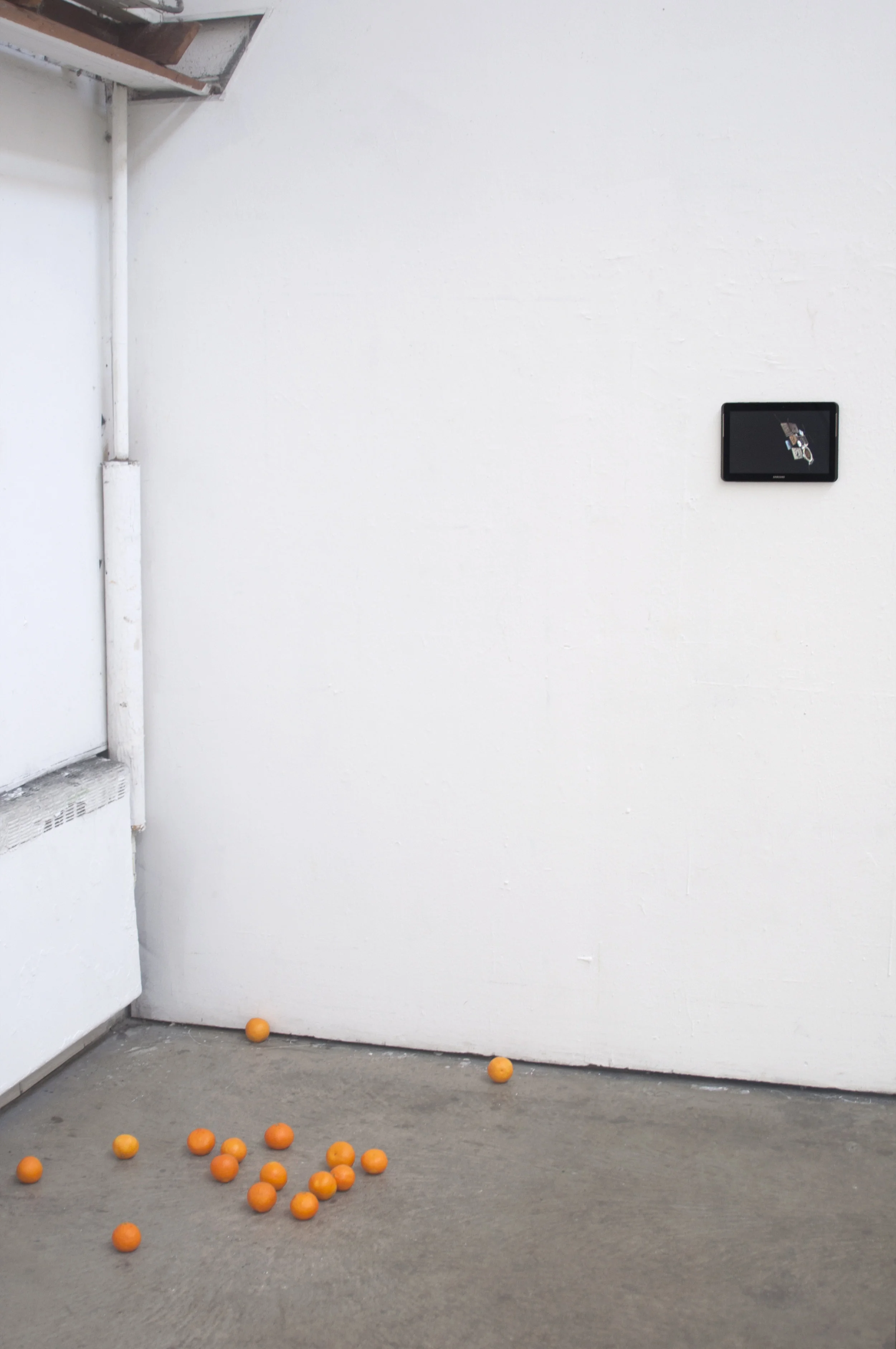 Fifteen Rotting and One Incorruptible Orange (part of the installation Insomnia, An Original System of Numbering ), Oranges, wax, pigment, 2017 An incorruptible orange is also an indigestible orange.