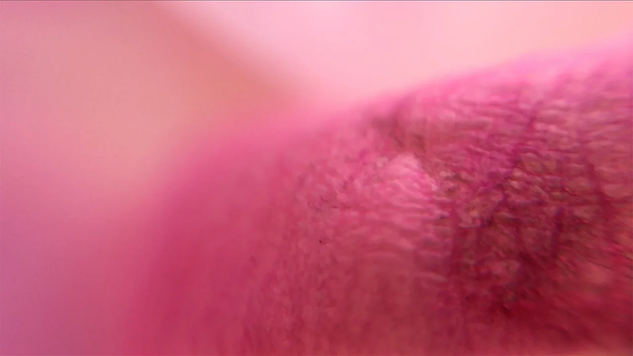 Quincunx: The Flag, still Two channel video, 18 minutes, install shot at Inset , Lubov Gallery, NYC, 2018
