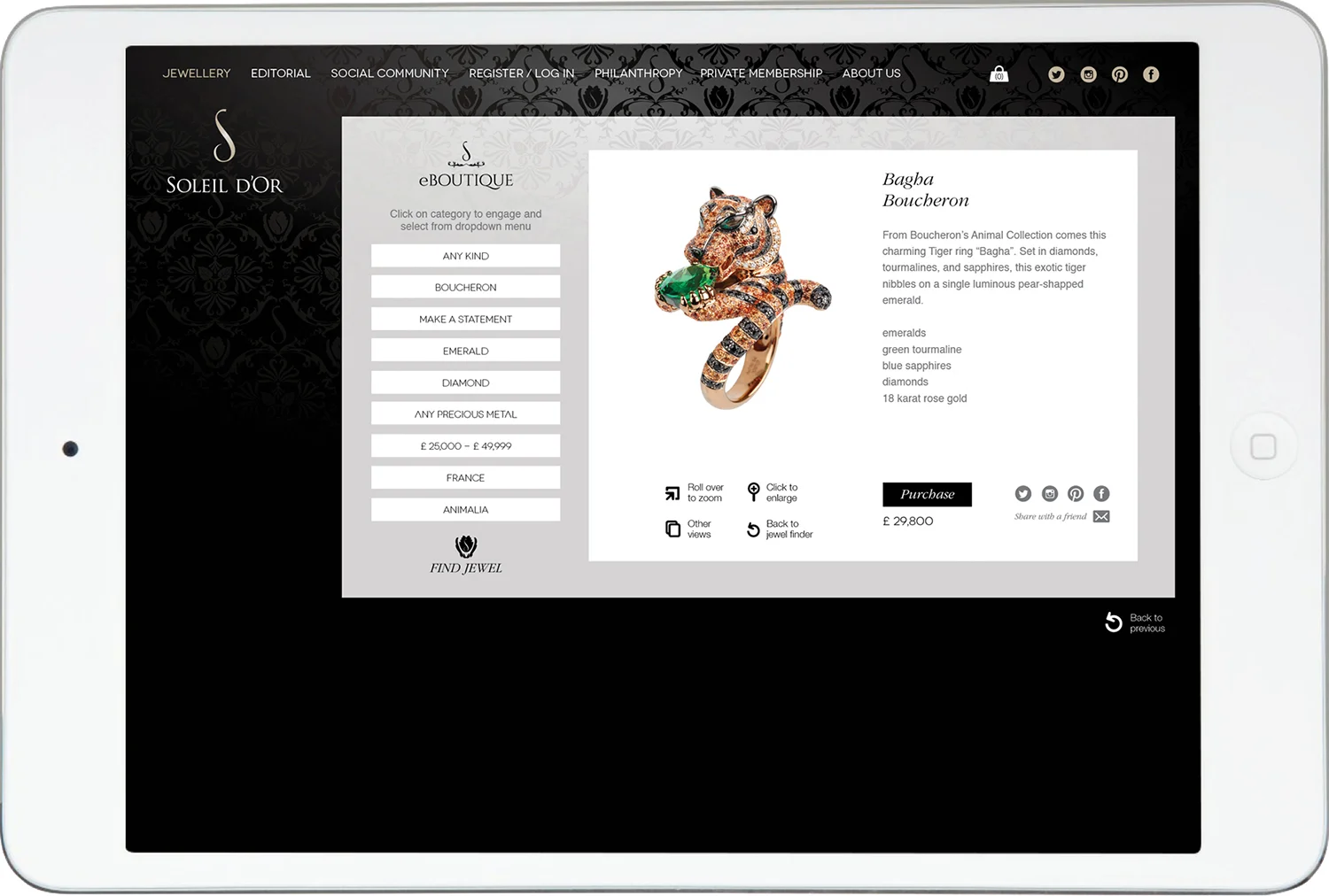 SDOWebsiteiPad5OPTFast.jpg