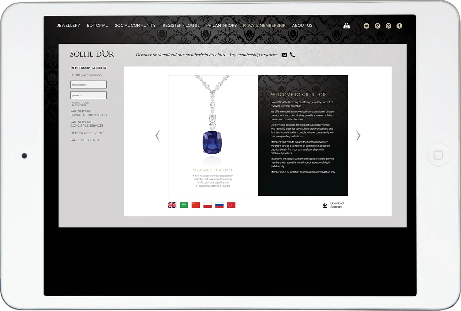 SDOWebsiteiPad25OPTFast.jpg