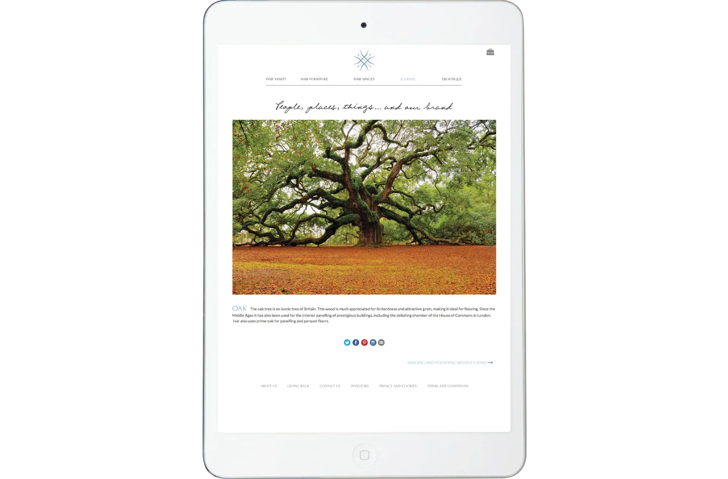 IvarWebsiteiPadFull20177OPT.jpg