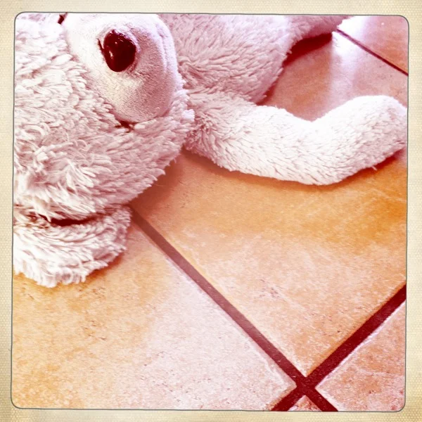 What I Learned From A Teddy Bear And A Tile Floor