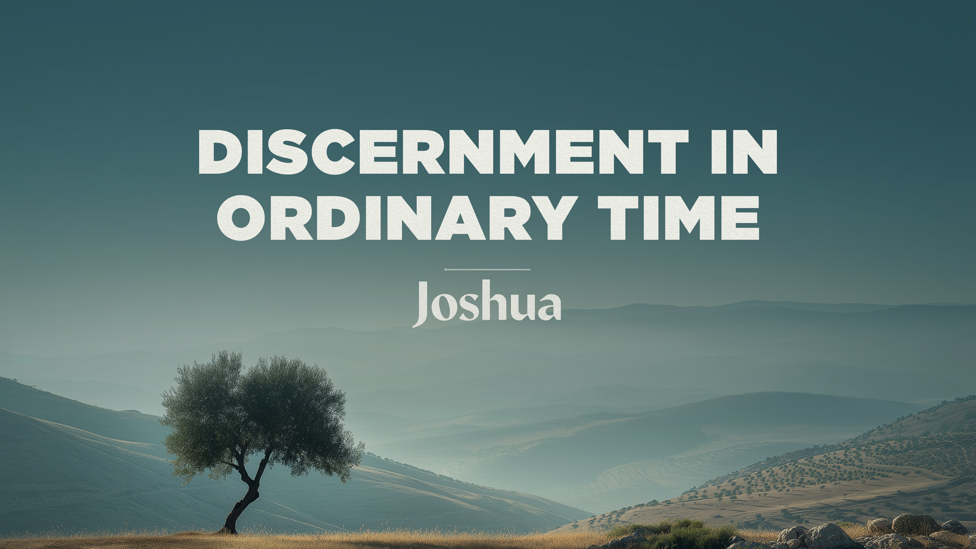 Joshua: Faithful Presence - Discernment in Ordinary Time
