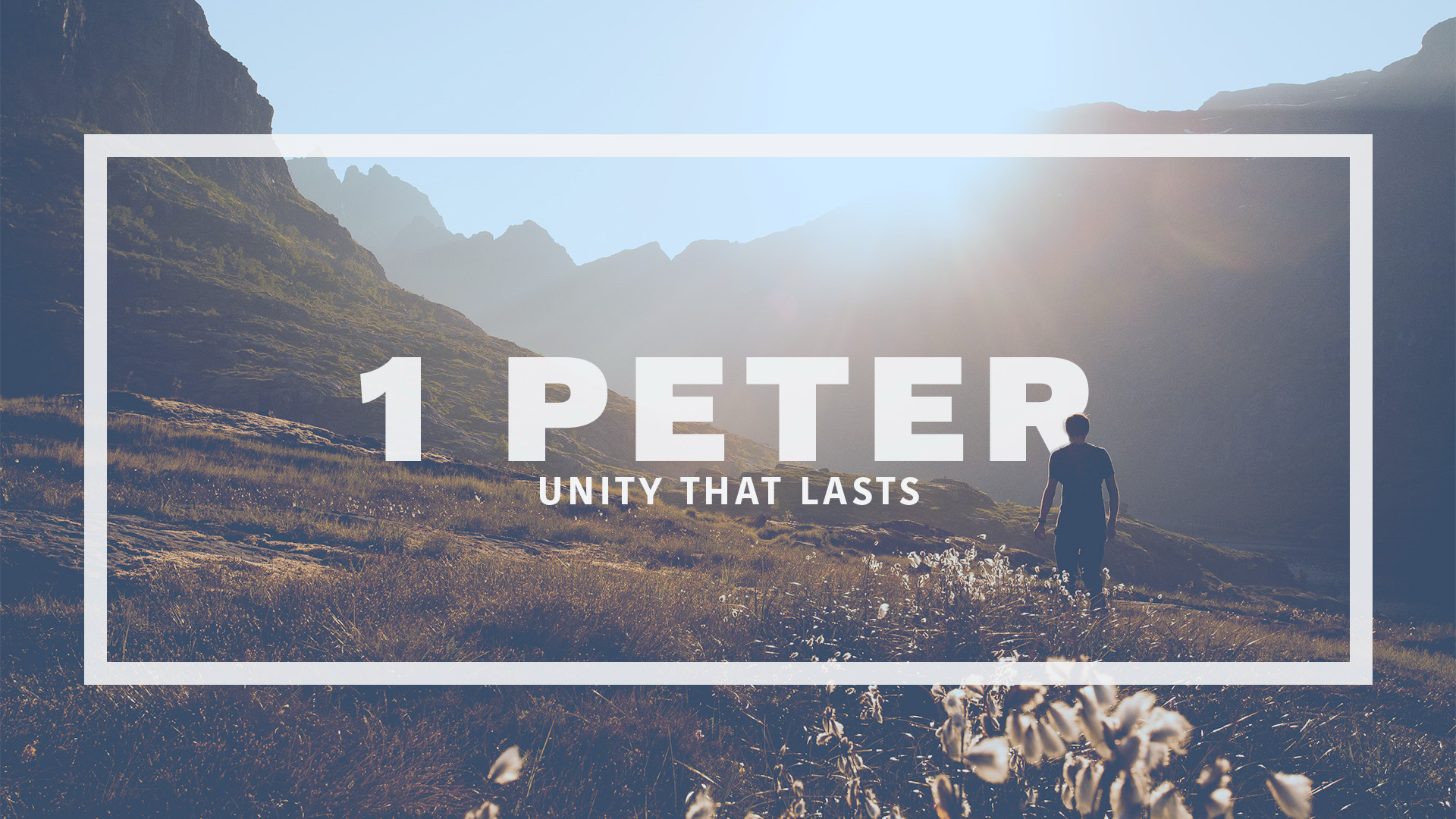 Unity That Lasts