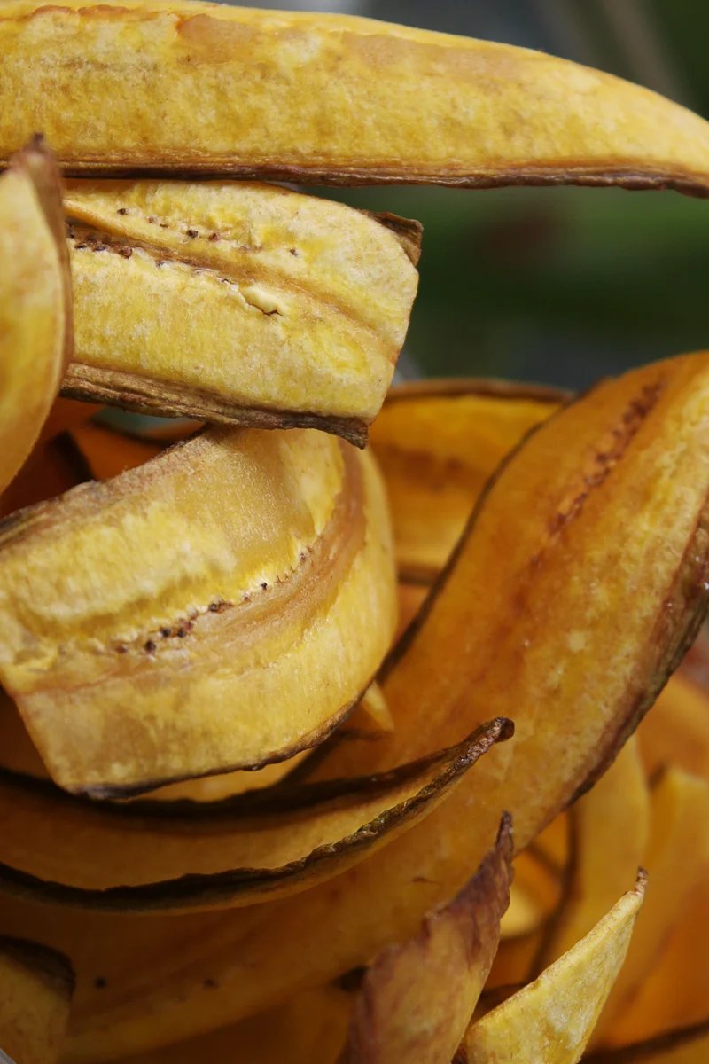 erikjimenez_plantains.jpg