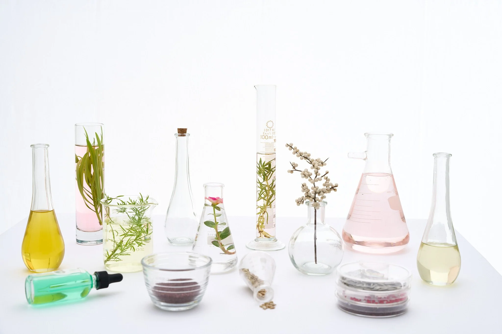 Various laboratory glassware including beakers and test tubes with colorful liquids, plants, herbs, a dropper, and petri dishes on a white surface with a plain white background.