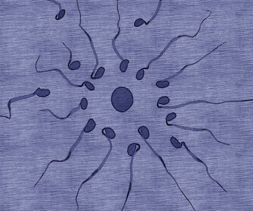 sperm-egg-picture-pen-sketch.jpeg