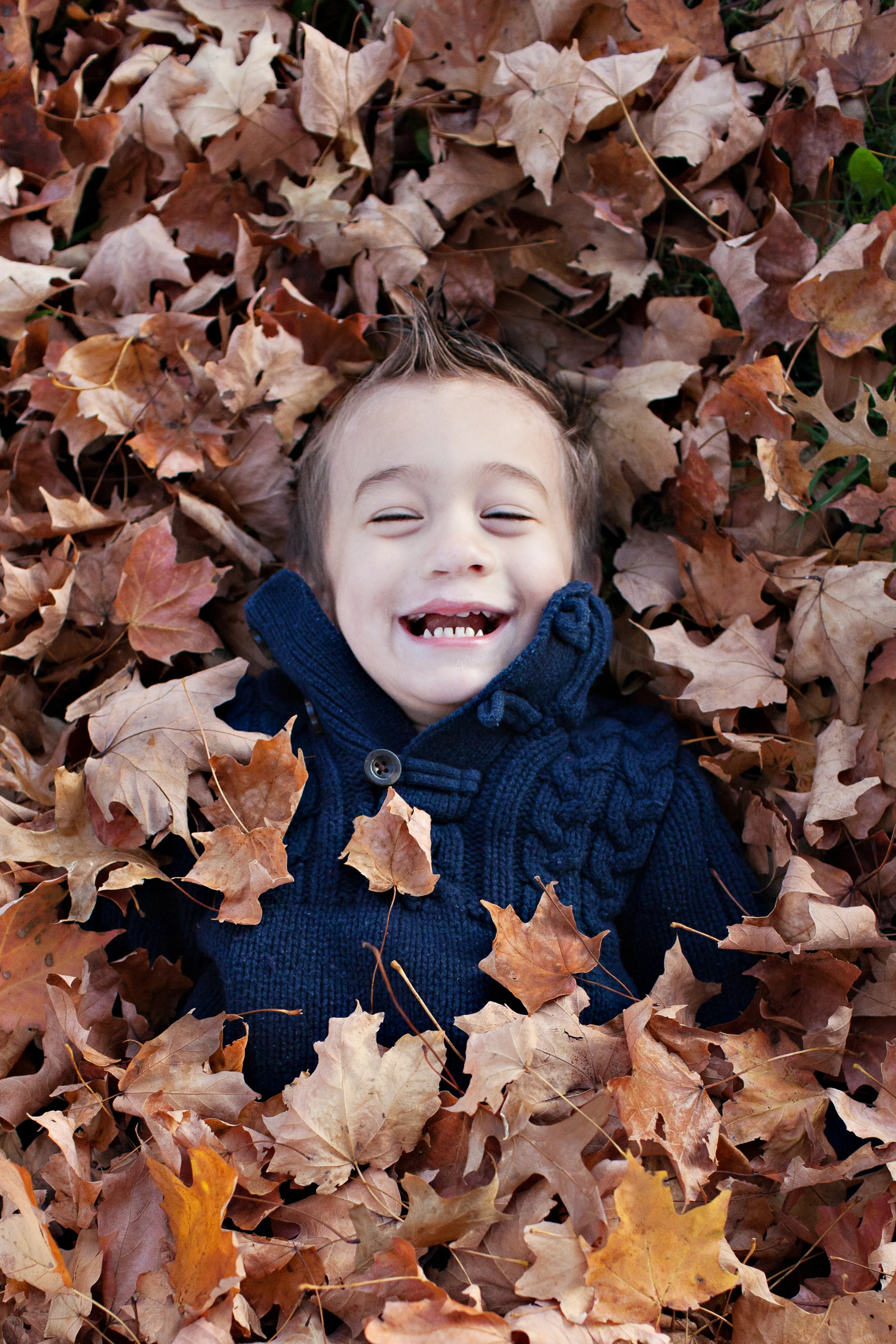 week forty-five-1.jpg