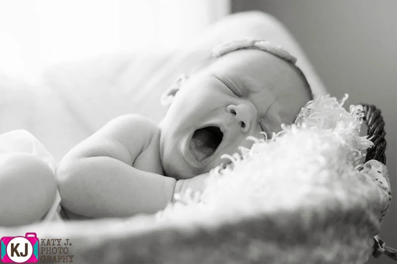 SpringHillNewborn9-2.jpg