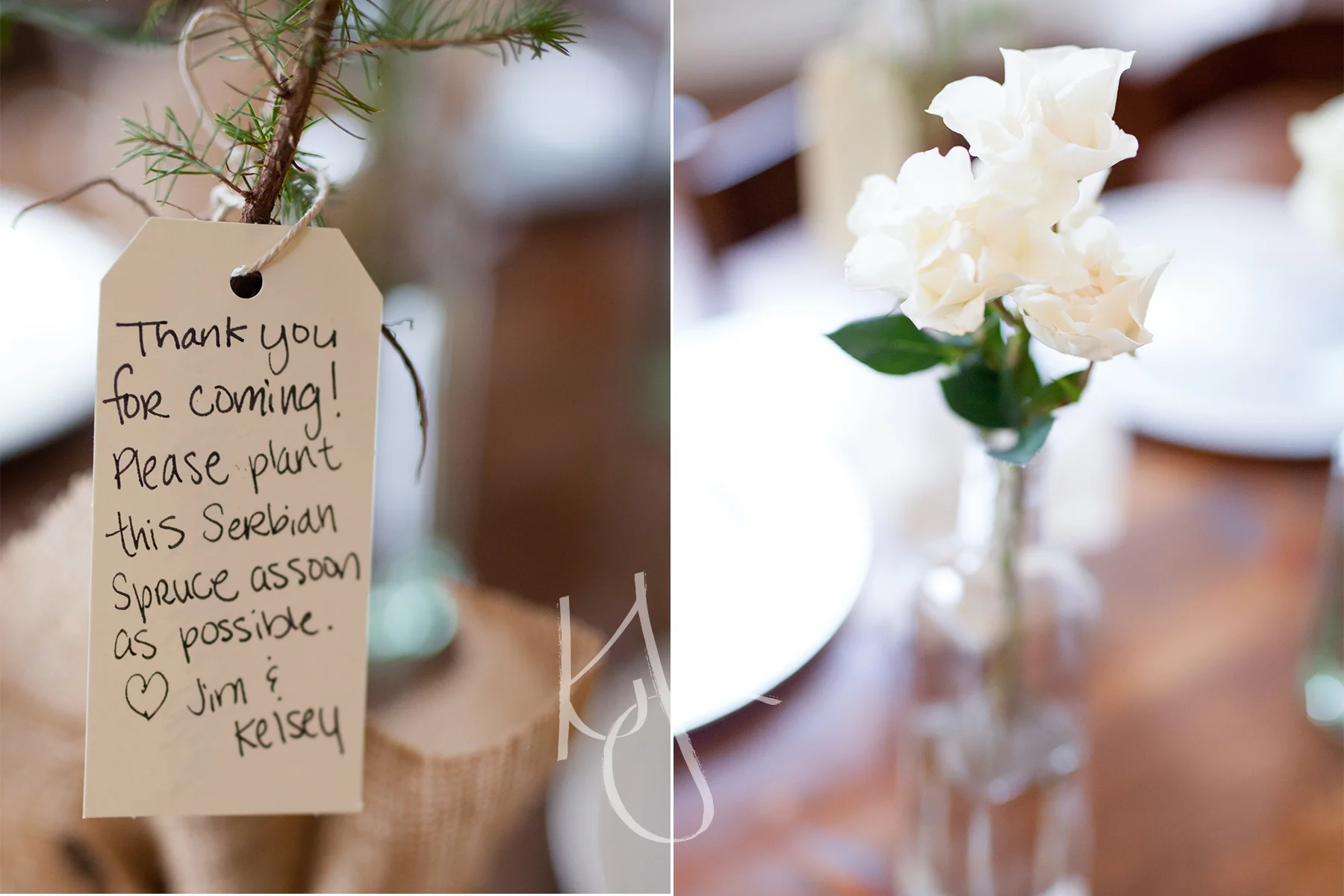 Hermitage_wedding_53.jpg