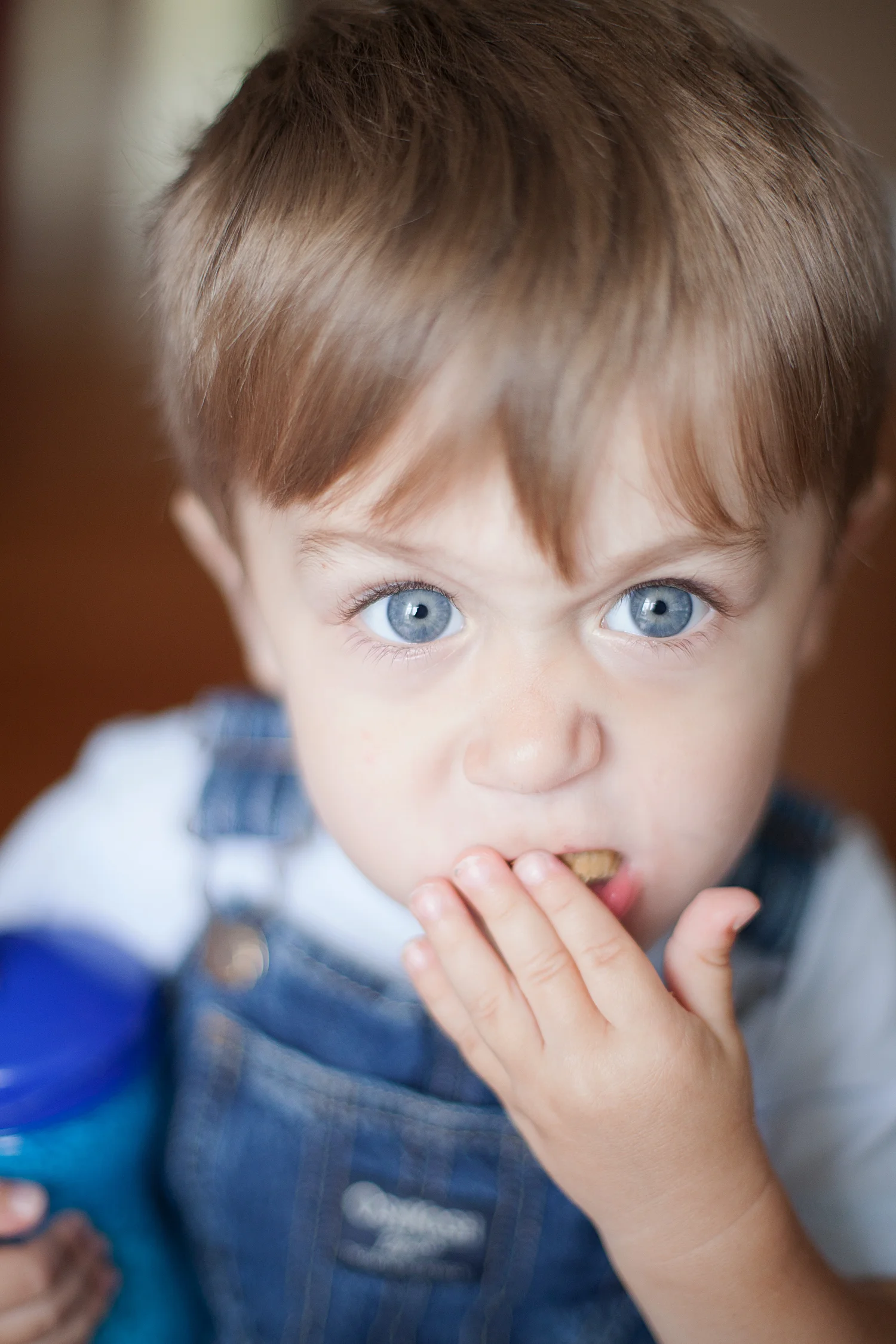 Week Sixty-Seven-2.jpg