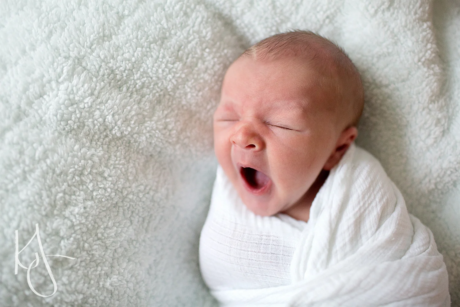Franklin_Newborn_Session_16.jpg
