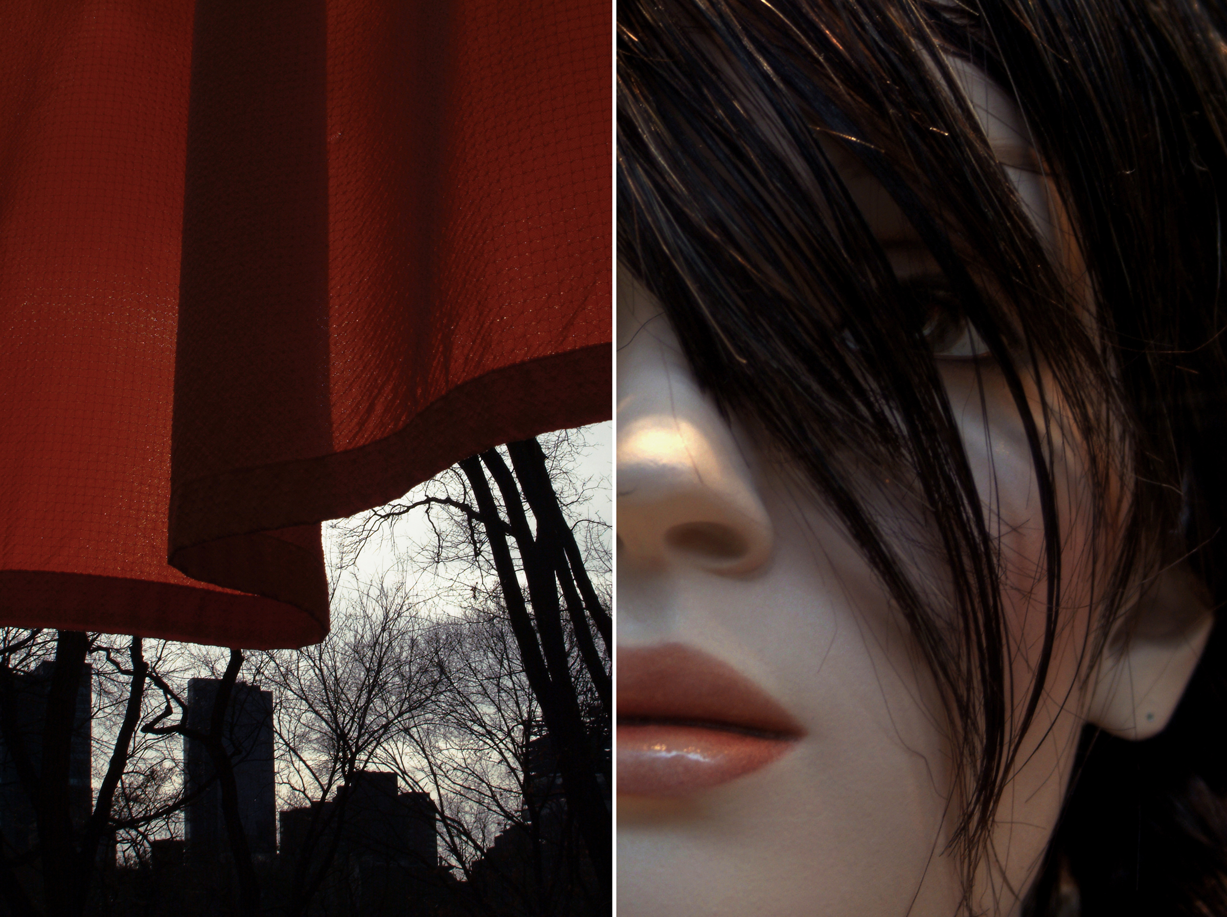 Diptych 5 bangs and curtain.jpg