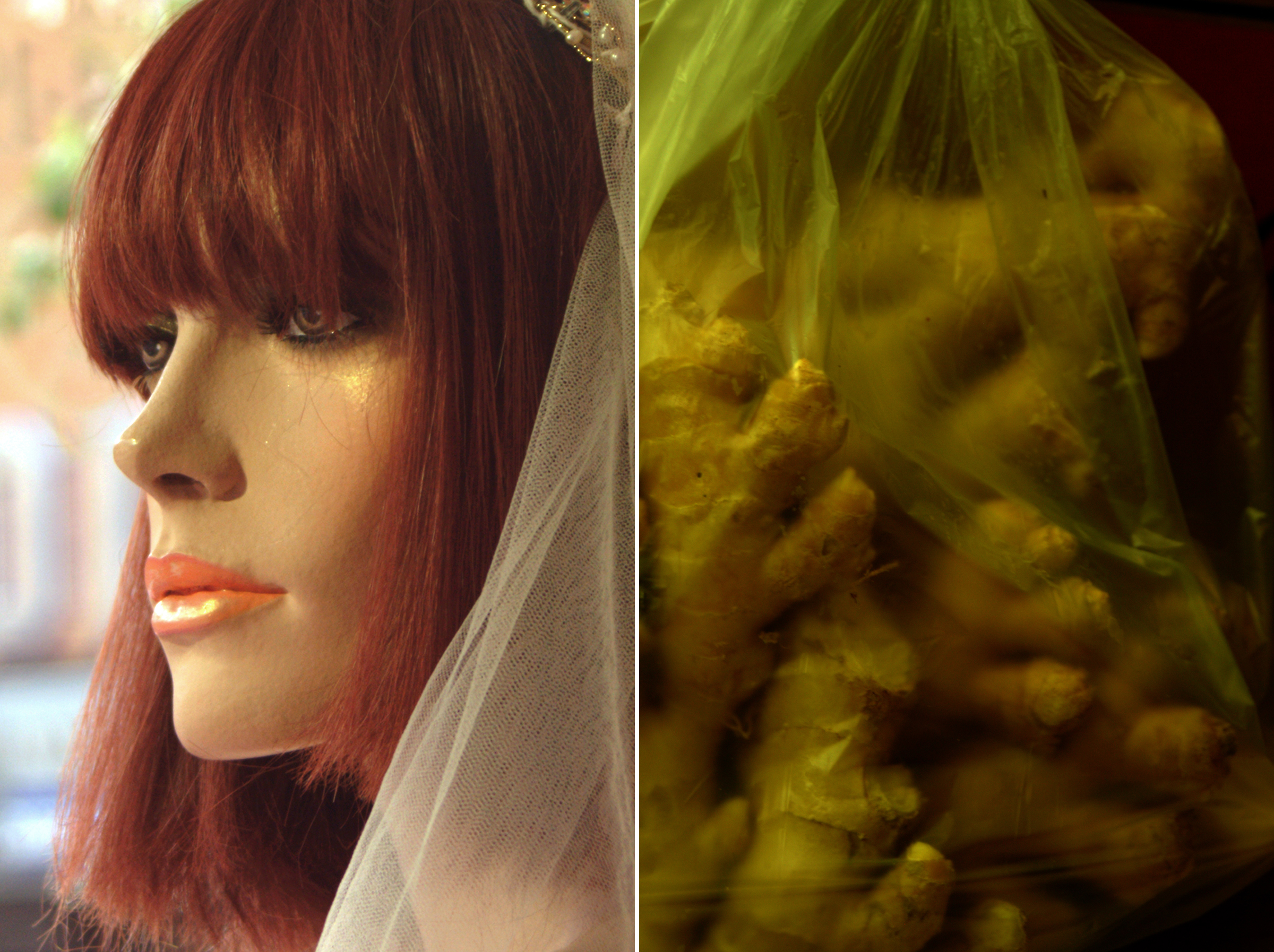 Diptych 29 diadem and ginger root.jpg