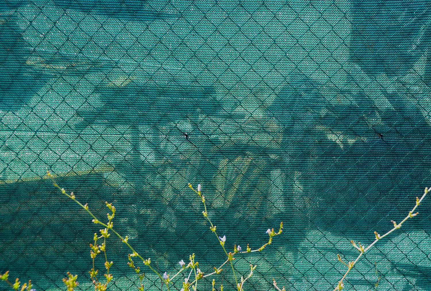 x Loop 9 image 1 Summer 2012 Santini lumber yard behind wire and green mesh.jpg