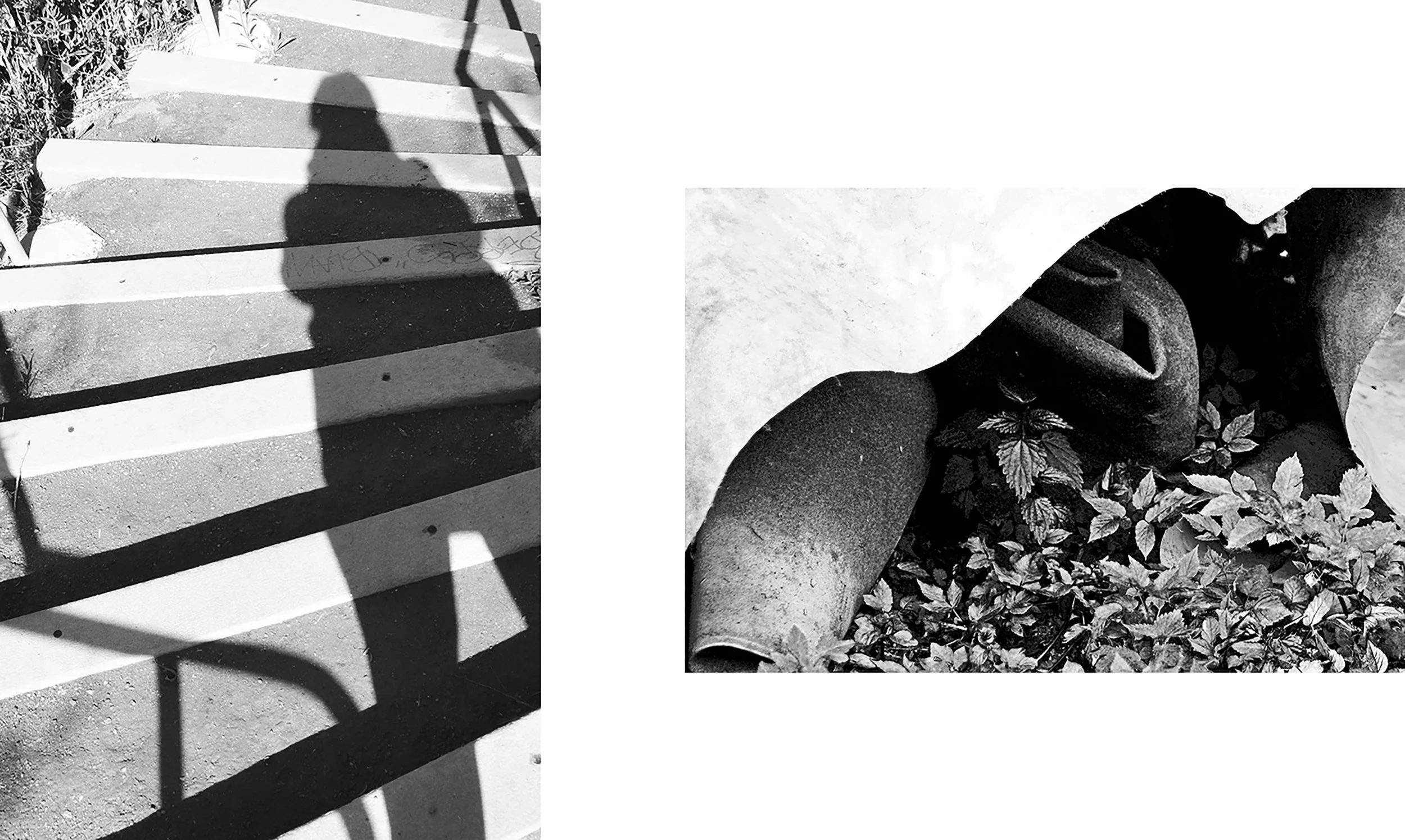 300 OCTOG Website 03.jpg
