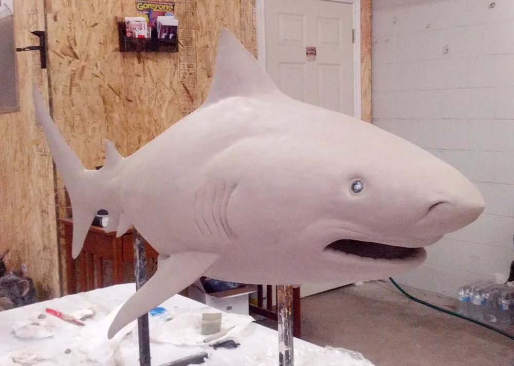 Bull Shark
