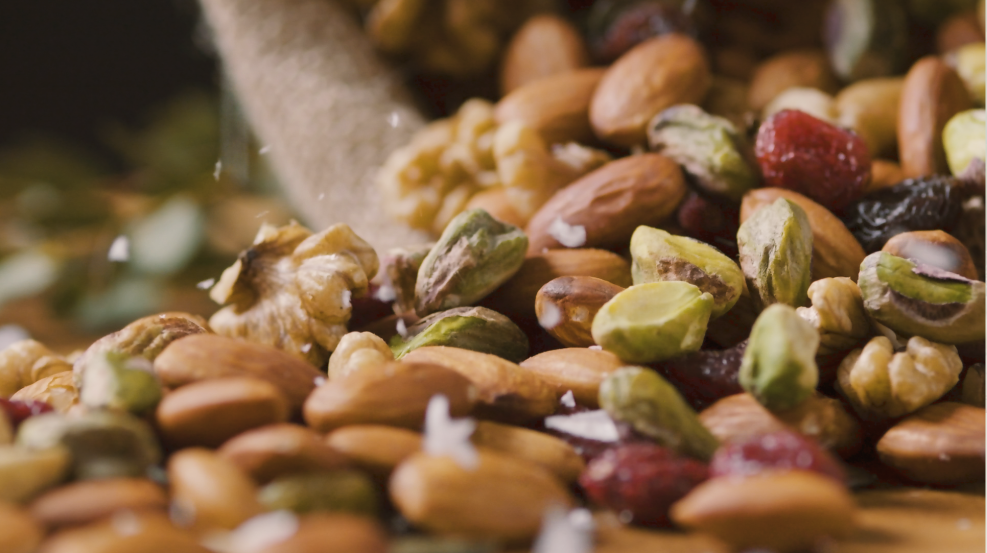 The nötter Experience (2021)