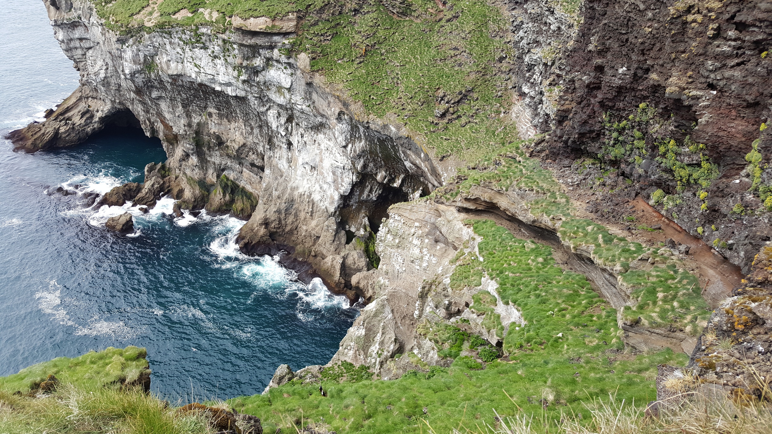 5 points if you can spot the pair of puffins!