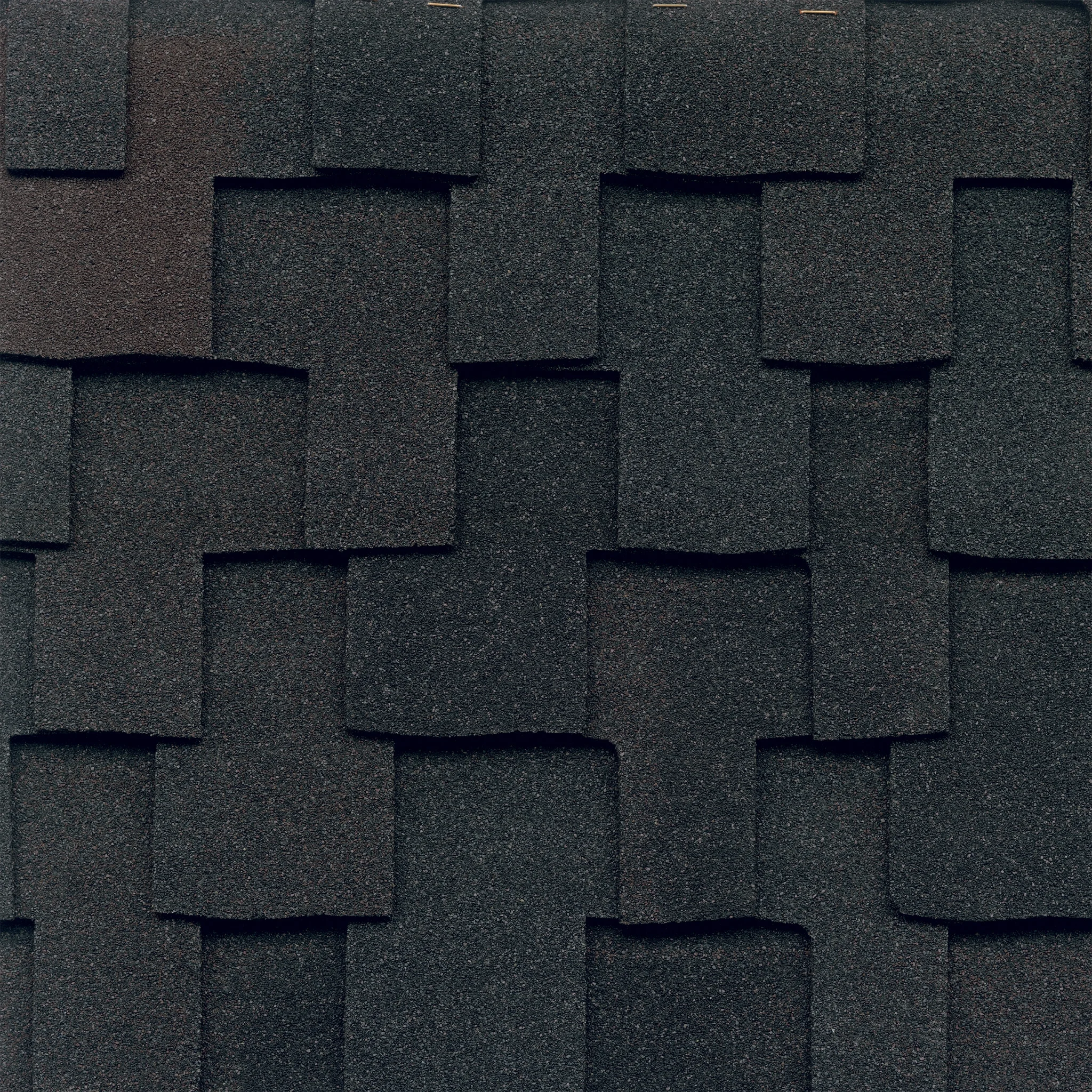 Grand_Canyon_Black_Oak.jpg