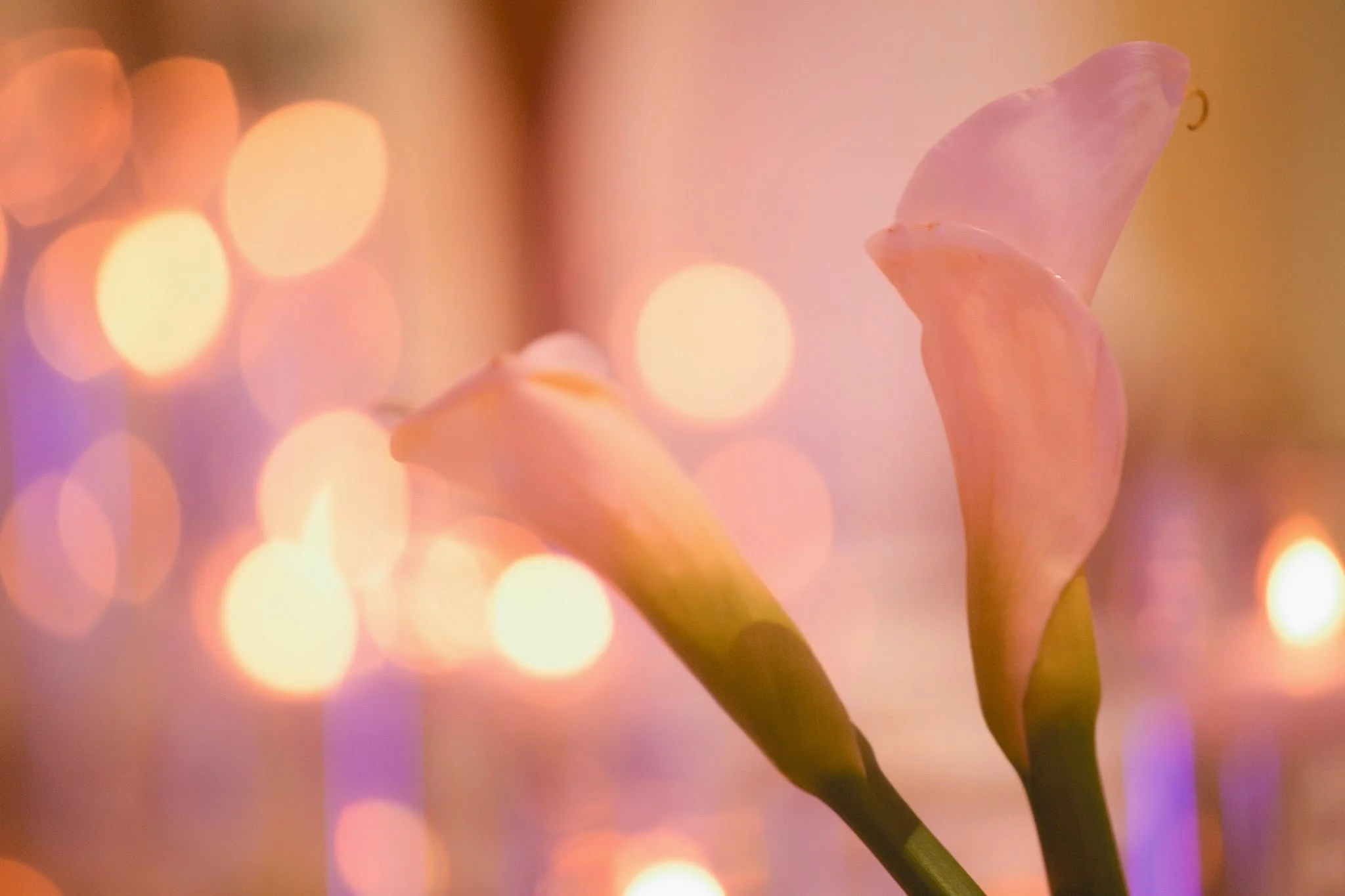 Creme de le Chic Events, Clayton Brannon Photography, Atlanta GA  #cremedelechic #atlantawedding