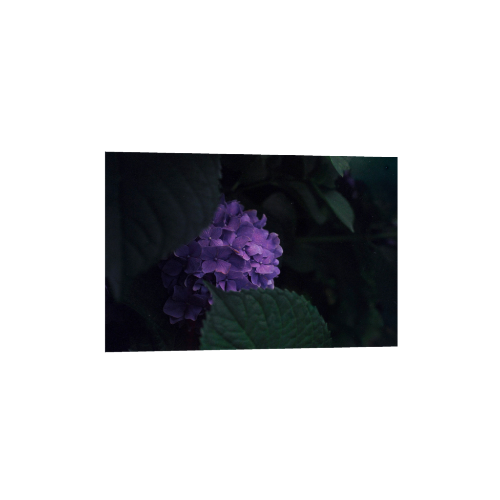 ptq_1_3_2_0_2509_1673_0_false_ffffff_0_0_.png