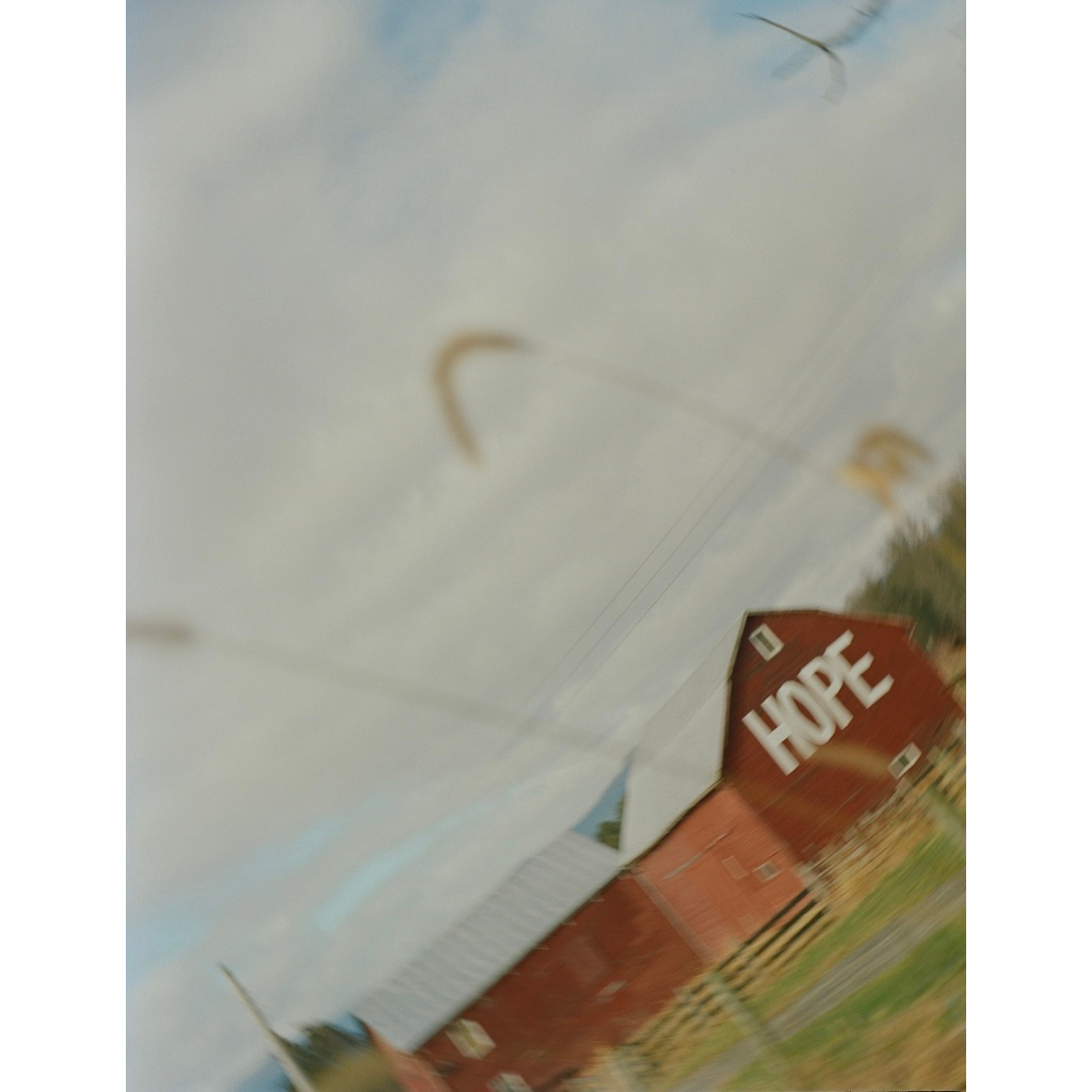 image_original_.png