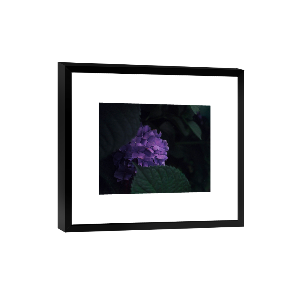 ptq_45_6_211_0_2091_1673_0_false_ffffff_0_0_.png