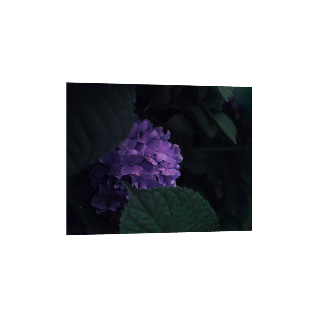 ptq_1_6_211_0_2091_1673_0_false_ffffff_0_0_.png