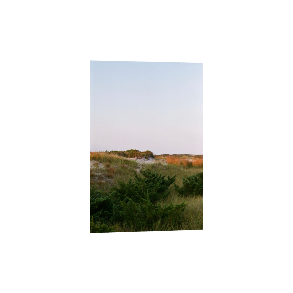 ptq_1_3_0_8_2075_3112_0_false_ffffff_0_0_.png