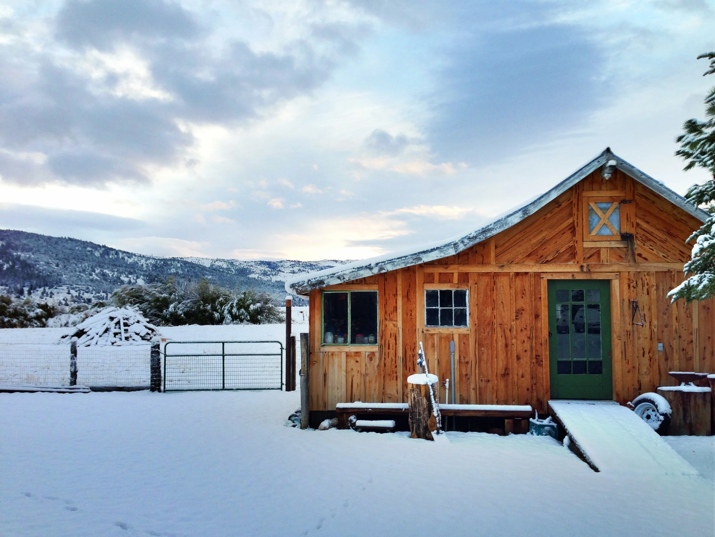 Winter in the Valley