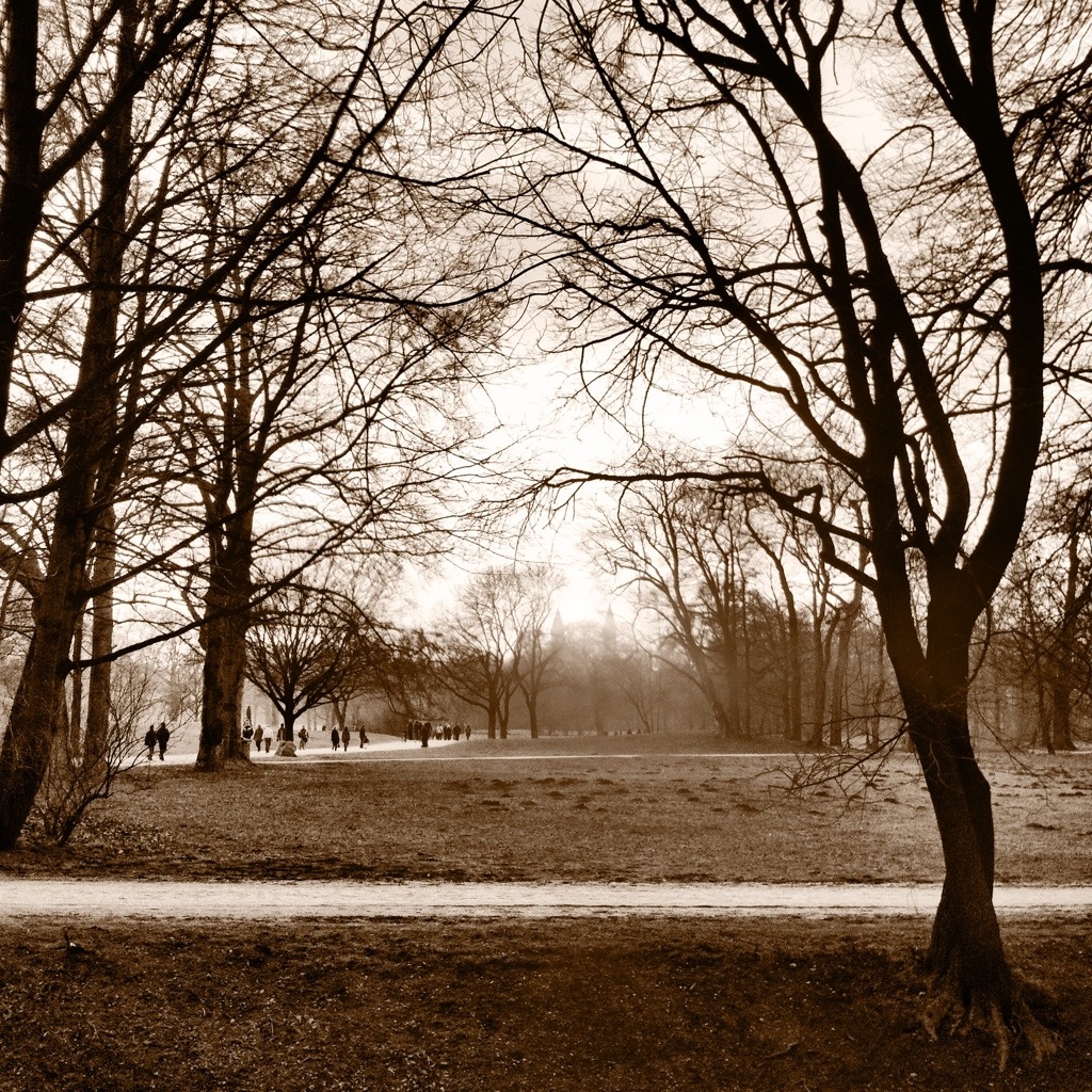 Afternoon in the Englischer Garten