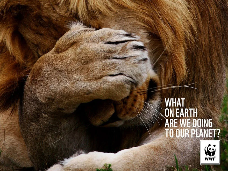 public-social-ads-animals-69.jpg