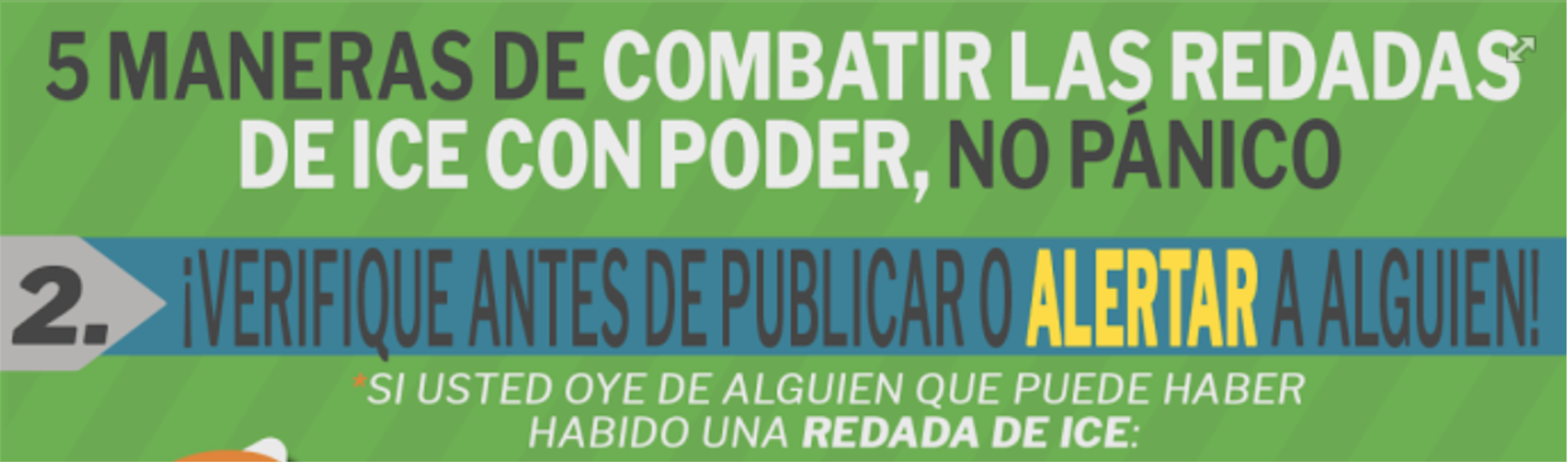 Graphic shared by immigrant advocates to fight ICE with “power, not panic.”