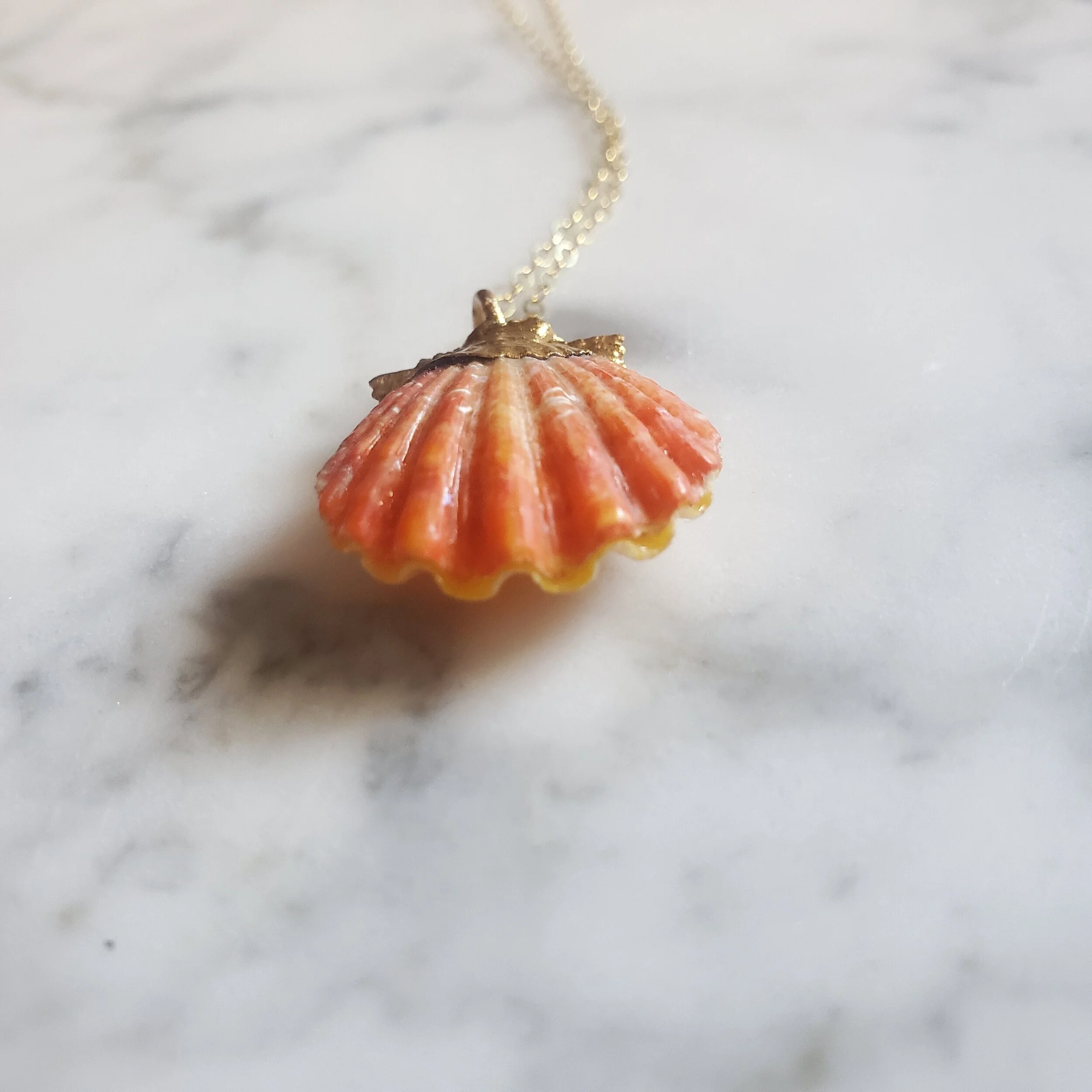 20201207_162947 copy.jpg