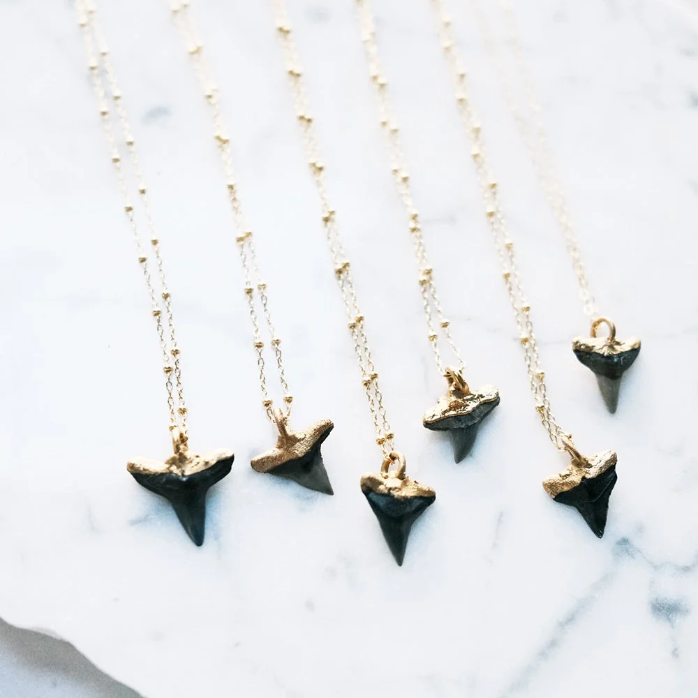 2B85C554-84BE-453A-9B60-4AB9A05FF878-4751-0000010DECD4DD58 copy.JPG