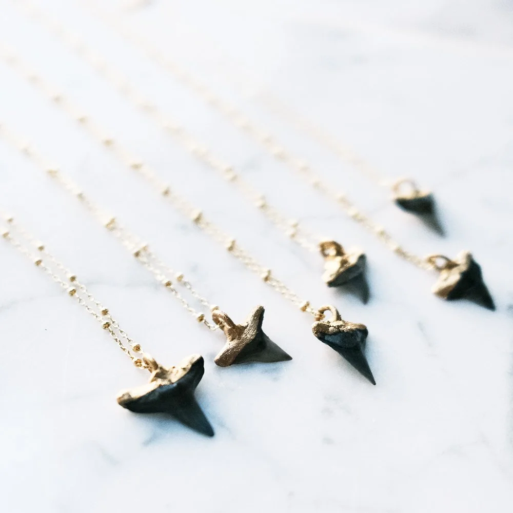 8AA12DE0-2294-4B7F-A4DD-91073FCF9509-4751-0000010DE1FFC8DA copy.JPG