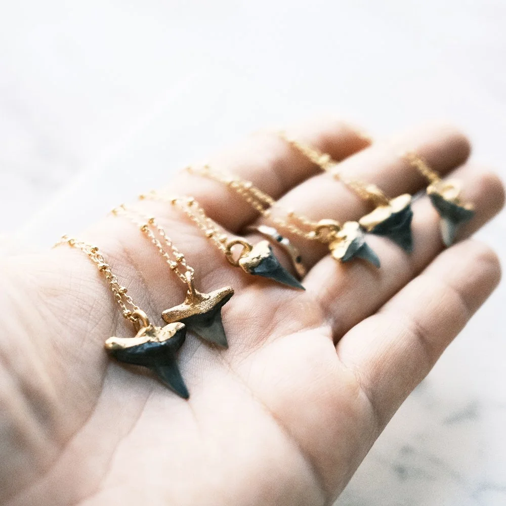 15C7C2DA-7A31-455C-975B-F45A0792E468-4751-0000010DD8F26A1A copy.JPG