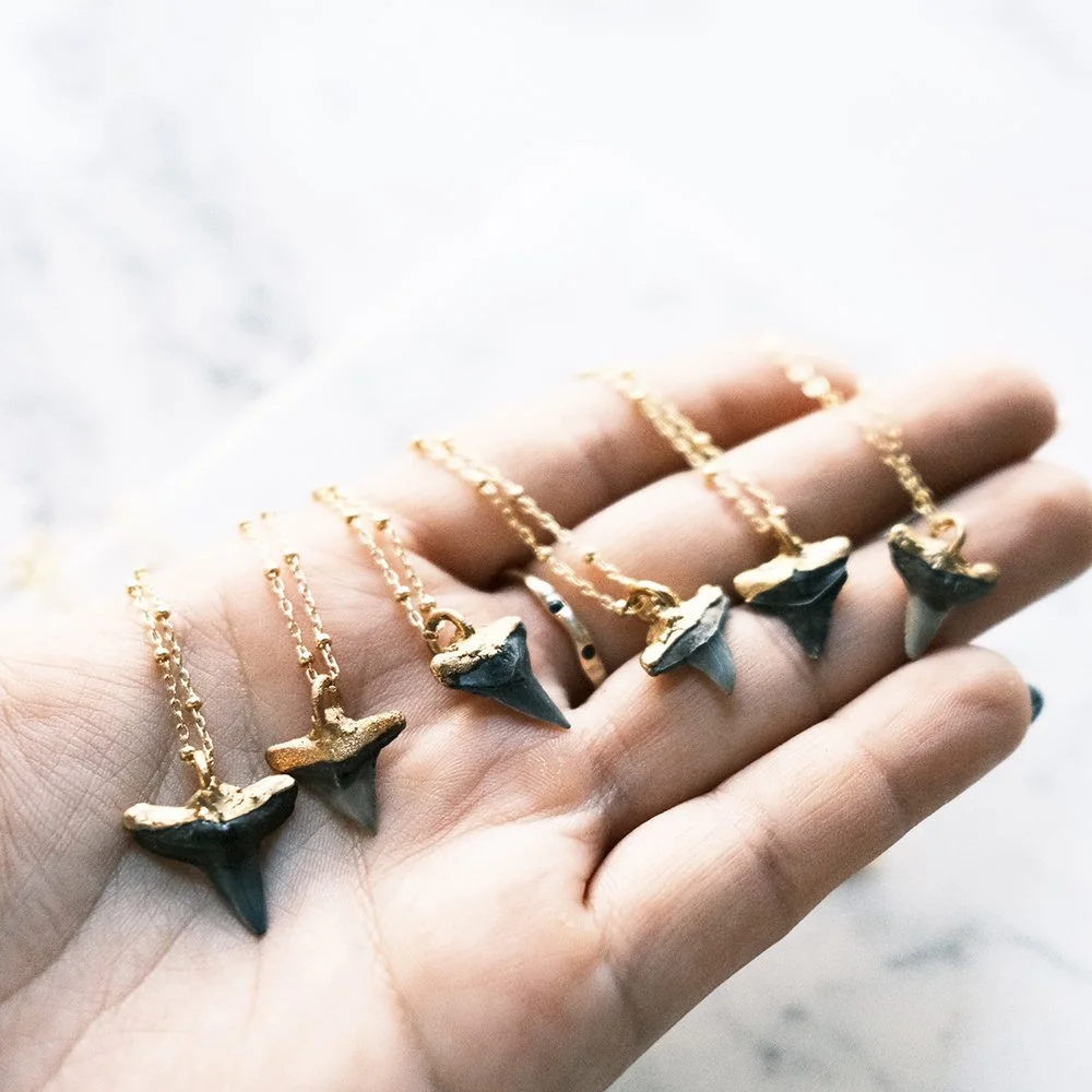 7E76D181-DB3C-4E47-96AD-83A373D3E142-4751-0000010DDD5C9674 copy.JPG