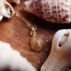 Conch Shell Small Seashell Necklace Tiny Seashell Necklace Ocean