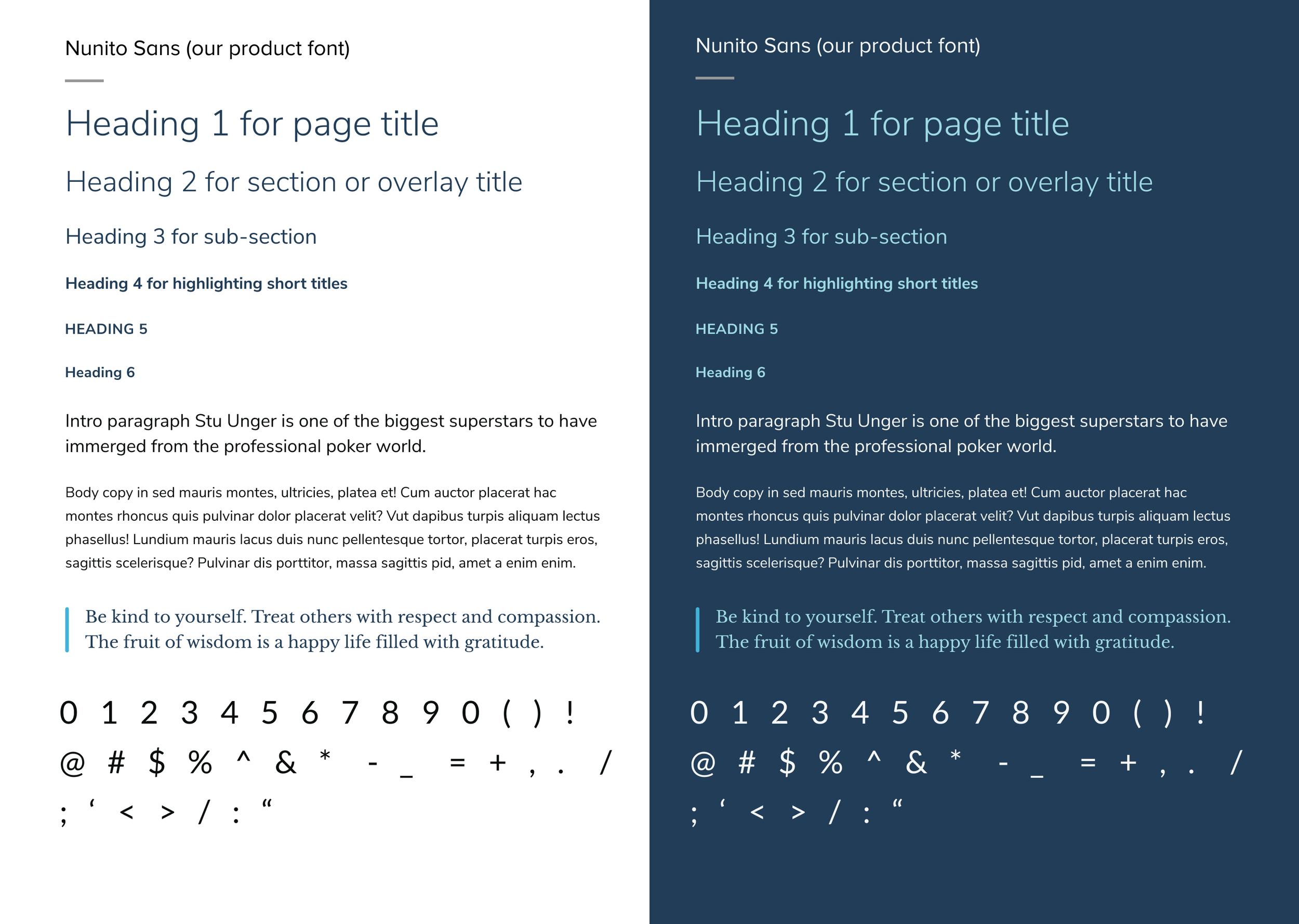 Nunito Sans (new product font).png