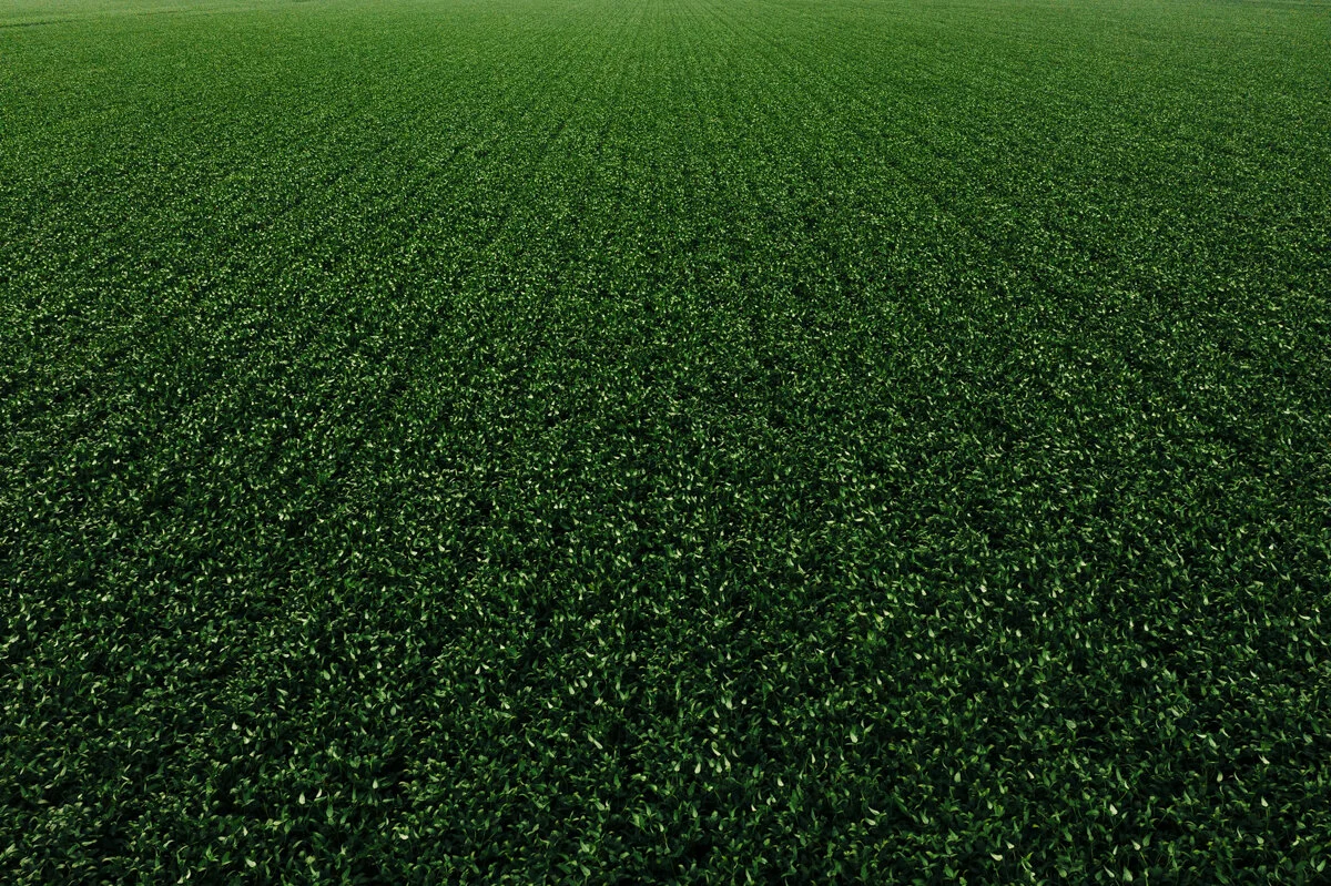 DJI_0430.JPG