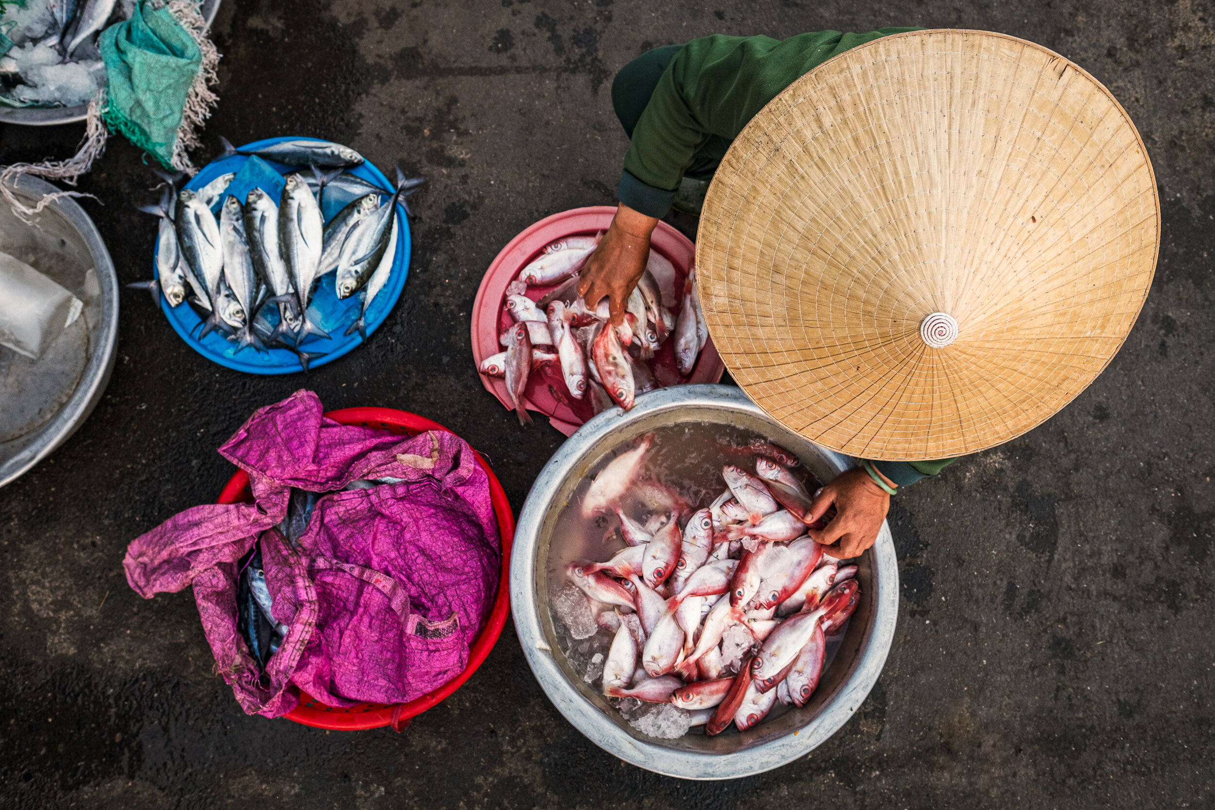 Thành phố Hội An_XT10_20170620_053208-2© R Cawthra 2017.jpg