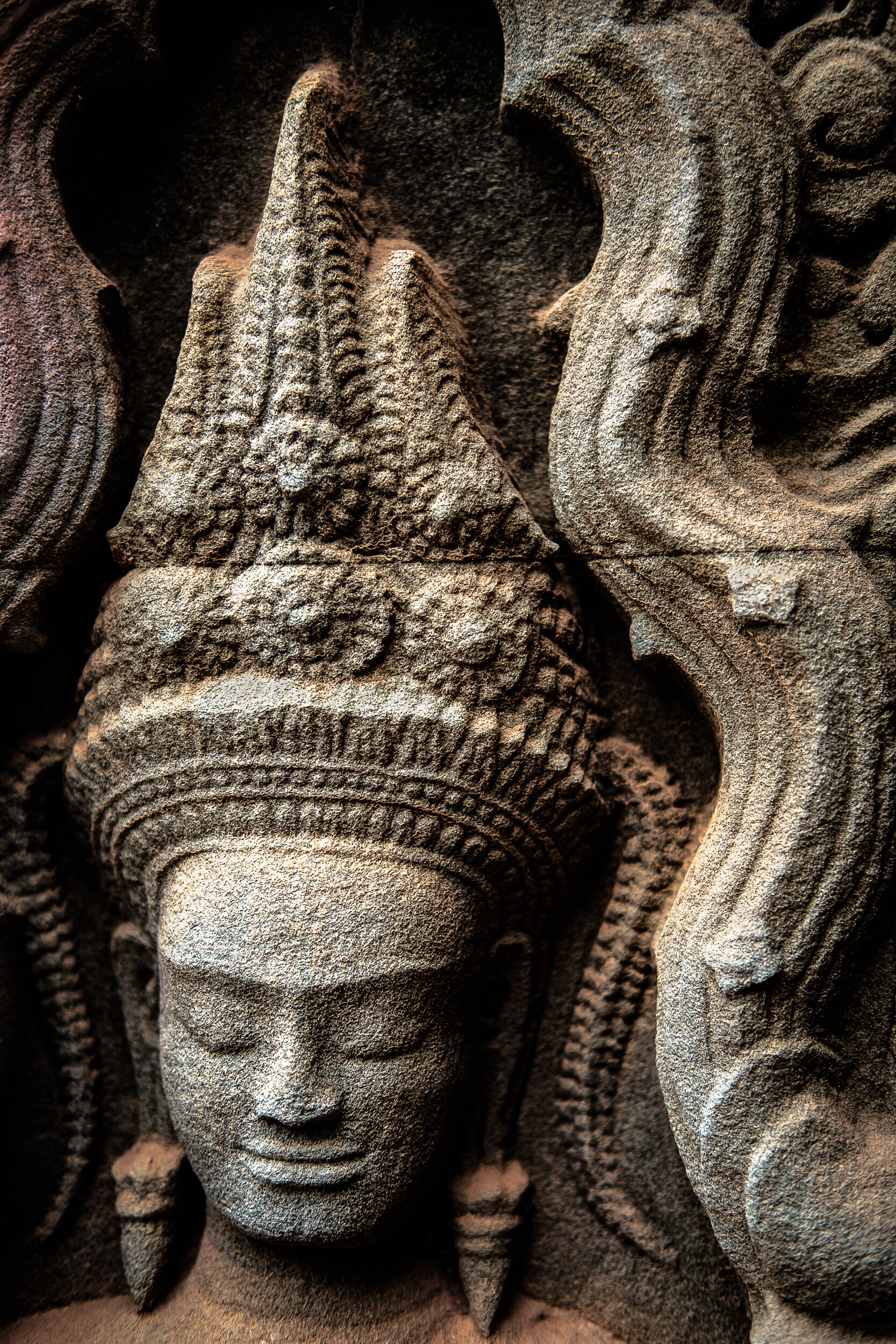 TA_PROHM_XT10_20170115_073111_EDIT© R Cawthra 2016.jpg