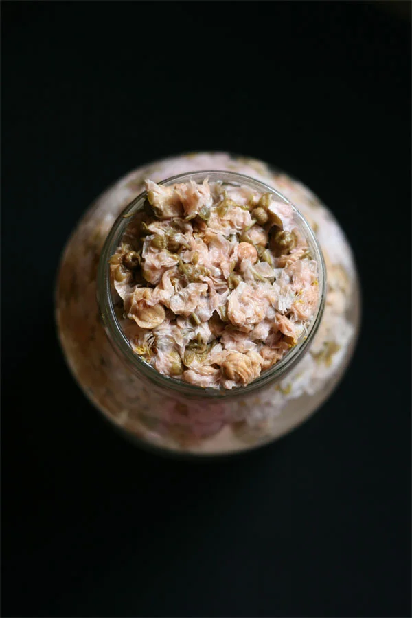  cherry blossom yeast water 