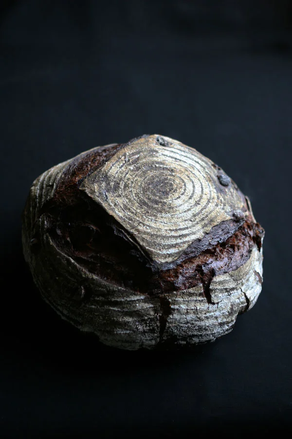  chocolat espresso bread with organic apricot yeast 