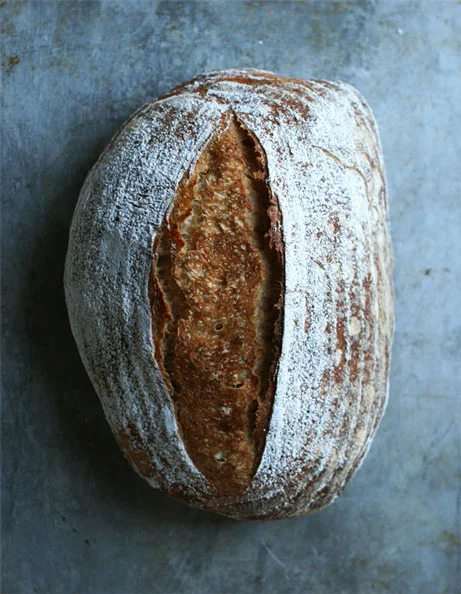  campagne with organic lemon yeast 