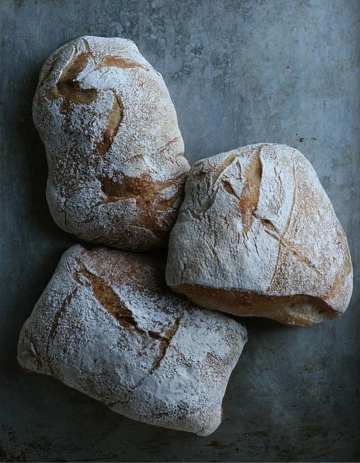  rustique with organic lemon yeast 